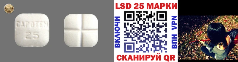 ЛСД экстази ecstasy  цены наркотик  MEGA ONION  Курган 