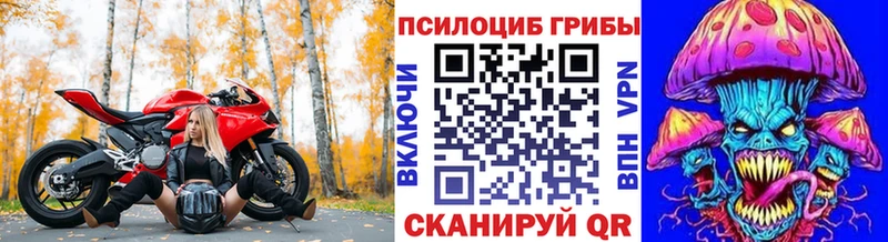hydra ссылка  Курган  Галлюциногенные грибы прущие грибы 